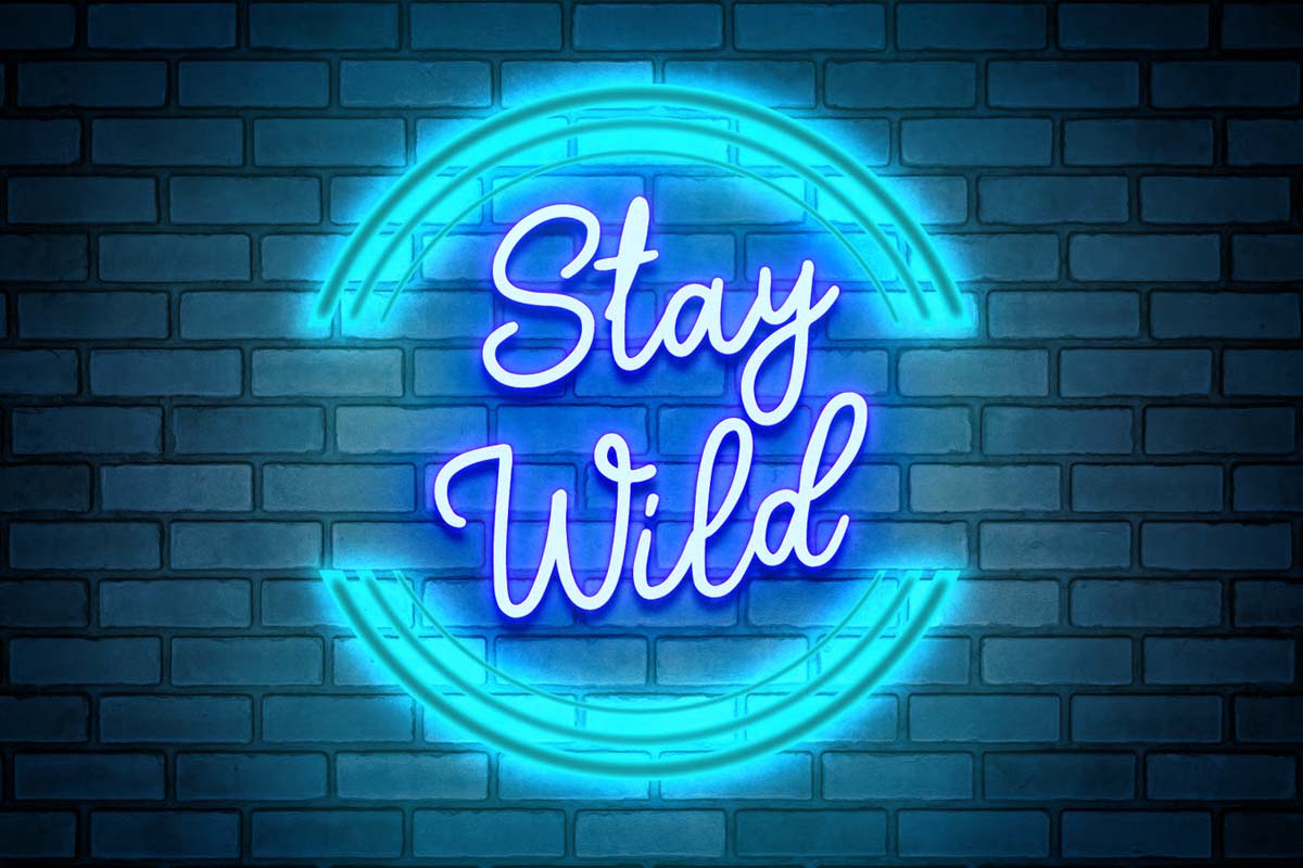 Shade Blue – Retro nhẹ nhàng, nữ tính